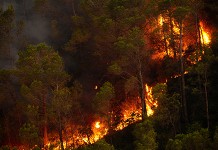 รองผู้ว่า เชียงใหม่ ขอร้องสื่อและชาวเชียงใหม่เห็นใจคนทำงานดับไฟป่า