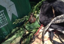 พบวัตถุเหมือนระเบิดลูกเกลี้ยงในรถขนขยะ