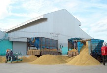 สมาคมโรงสี โอดขายข้าวไม่ได้เงิน วอนรัฐช่วยเหลือ