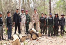 ผู้ว่าลำปาง เตรียมส่งชื่อผู้มีอิทธิพลบุกรุกเผาป่าสงวนให้ทหาร