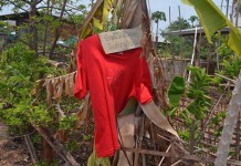 ผู้ชายกาฬสินธ์ุไหลตาย 4 ศพ เชื่อว่าผีปอบและผีแม่ม่าย มาเอาชีวิต