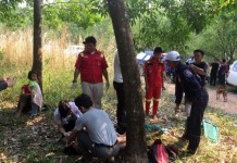 ผึ้งหลวงรุมต่อย หนุ่มบึงกาฬ เสียชีวิต