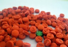 ตำรวจอยุธยา จับกุมแก๊งค้ายา ได้ยาบ้า 41 มัด ไอซ์ 1.3 กิโลกรัม และเฮโลอีน อีก 20แท่ง