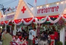 ตำรวจจับตัวโจรล้วงกระเป๋างานกาชาด