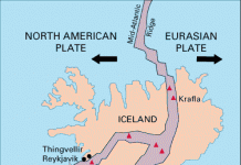 ประธานาธิบดีไอซ์แลนด์เปลี่ยนใจลงสมัครรับเลือกตั้งสมัยหน้า