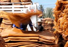 ตลาดกลางยางพารา มีปริมาณยางกว่าพันกิโลกรัมเข้าประมูล ราคาปรับตัวเพิ่มขึ้น