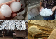 พม่าโดนพายุลูกเห็บถล่ม ตาย 8 ‘เจดีย์’1,700 แห่งได้รับความเสียหายหนัก