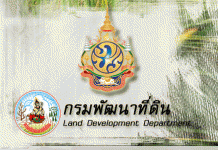 กรมพัฒนาที่ดิน เพิ่มพื้นที่ปลูกข้าว -ปาล์มน้ำมันในพื้นที่นาร้าง