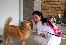 โพลมหาชน : ดาราที่คนไทย อยากสาดน้ำสงกรานต์มากที่สุด