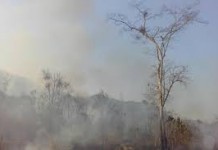 นายก ลงพื้นที่เชียงใหม่ 27 เม.ย. เรื่องปัญหาหมอกควัน