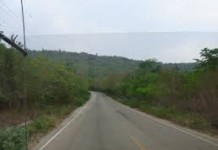 อธิบดีกรมป่าไม้บินตรวจไฟป่าภูหลง คาดเสียหายกว่า 1,000 ไร่