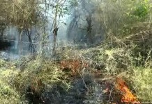 ไฟไหม้ป่าเขาสะแกกรัง อุทัยธานี