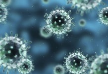 กรมควบคุมโรคเตือนไข้หวัดใหญ่ระบาดเพิ่ม