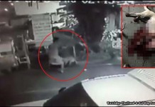 พ่อค้าข้าวมันไก่ ฆ่าสุนัข เข้ารับทราบข้อกล่าวหา