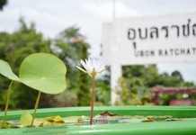 อุบลราชธานี ระดมความคิดเห็นเป็นเจ้าภาพ ซีเกมส์