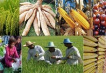 รัฐบาลยืนยันให้ความสำคัญกับภาคการเกษตร เน้นรุกแก้ปัญหายั่งยืน และบริหารจัดการน้ำอย่างเป็นระบบ