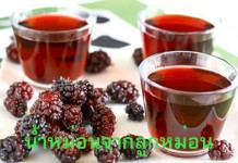 สระบุรีเดินหน้าแปรรูปผลผลิตทางการเกษตร