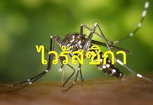 พบผู้ป่วยติดเชื้อ “ไวรัสซิกา” ที่อุดรธานี