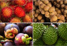 เกษตรเล็งพัฒนาผลไม้ภาคตะวันออก สู่การเป็นผลไม้พรีเมียม