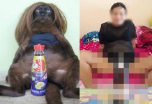 “เรณู” เมียน้อยโพสต์อวดผัว อาจถูกแกล้ง