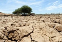 กรมพัฒนาที่ดิน ส่งหมอดินอาสา แก้ปัญหาภัยแล้งทั่วประเทศ