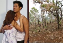 “ฮักน่าน ฮักป่าน่าน” พระเอก เวียร์ ขายกอดช่วยหาทุนฟื้นฟูป่า และเขา น่าน