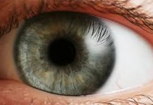 Google จดสิทธิบัตรเลนส์อัจฉริยะรักษาสายตาสั้น-ยาว