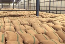 กรมการค้าต่างประเทศ เปิดประมูลข้าวสารในสต็อกของรัฐ ครั้งที่ 3/2559 ปริมาณ 1.2 ล้านตัน