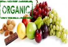 กลุ่มจังหวัดภาคเหนือตอนล่าง1 จัดสัมมนาวิชาการ อาหารออแกนิกส์