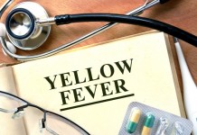 องค์การอนามัยโลก จัดการประชุมฉุกเฉินพรุ่งนี้ หลังไข้เหลืองระบาดหนัก ในแองโกลา