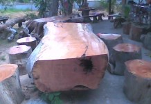 เตือนผู้ฃื้อไม้ทางภาคเหนือ ระวังถูก”แก็งค์”ค้าไม้ แล้วค้าคดีความ “กลุ่มผู้เสียหาย”เข้าร้องเรียน