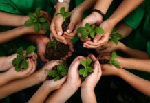 “ปชส.จ.เชียงใหม่”แจ้งข่าว”สำนักทรัพยากรฯ”พัฒนาพลิกฟื้นผืนป่า