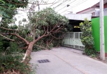 “อุตุฯ”เตือนระวังภัย”14จังหวัด” ทั้งทั่วไทยฝนตกต่อเนื่อง