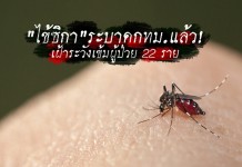เตือนระวัง”ไข้ฃิกา” แพร่เข้า”กทม.”หลังจากระบาดหลายจังหวัด รวมทั้ง”เชียงใหม่”