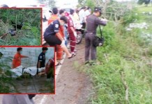 ตลึง!!ถึงกับผงะ”เทศบาลฯ”ออกตัดกิ่งไม้ พบศพ นร.หญิงม.6 ที่ญาติตามหา หลังหายตัวจากหอพัก