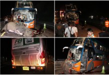 สลดใจ…”ช้าง” โดนรถทัวร์”บขส.”ชนดับอนาถ ทำพิธีศพ…(ชมคลิป)