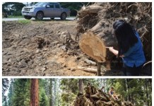 “ชาวแพร่”ฟ้องถึง”นายกฯ” ทางหลวงต้นเหตุ ตัดไม้ทำลายป่า ตัดต้นสักใหญ่อายุกว่า100ปีกว่า500ต้น วอน”นายกฯ” สั่งการด่วน