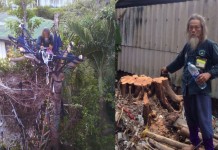 “ลุงอู๊ด”… รักต้นไม้ ประท้วง กทม.ตัดไม่บอก ขึ้นไปนั่งเฝ้า กลัวกทม.มาตัดอีก