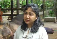 แจงเข้าใจผิด!! “โซไรดา” ยัน ยังไม่ยุติ “มูลนิธิเพื่อนช้าง”