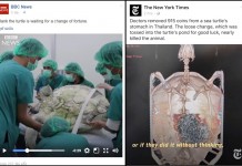 “สื่อนอก”สุดทึ่ง ทีมคณะสัตวแพทย์ “จุฬาลงกรณ์มหาวิทยาลัย”ผ่าตัดพบเหรียญอัดแน่นกระเพาะนับพัน ได้ปลอดภัย