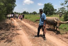 ชาวสุรินทร์โวยถนนพังกว่า10ปีไร้รัฐเหลียวแล