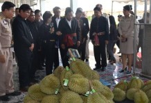 ศรีสะเกษรมว.เกษตรส่งทุเรียนภูเขาไฟถึงตัวเอง