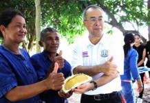 ชาวสุรินทร์ปลูกทุเรียนหมอนทองประสบความสำเร็จ