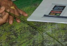 ฟังอีกมุม เมียครูเกษียณ แจงปมบุกตบเด็กป.2 ถึงบ้าน