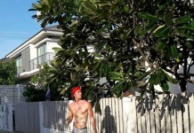 อื้อหือ!คนฉีดเพลี้ย