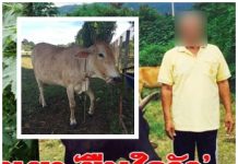 “วัวสาวสวย”!!….สุดช้ำ ถูก”ชายสูงวัย “ข่มขืนยับ!! กลางสวน ชนิดจับได้คาหนังคาเขา ยืนเปลือยกายล่อนจ้อน #หนังสือพิมพ์รายวัน”ข่าวประเทศไทย”#ข่าวทั่วไทย-ไกลทั่วโลก# ลุงข่มขืนวัว