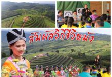 เปิด#เนินสองเต้า ‘ซาปาเมืองไทย’ #สัมผัสธรรมชาติ #พักโฮมสเตย์ ชม#นาขั้นบรรได#ดื่มด่ำดอกไม้นานาพรรณ ที่#ภูทับสี่ #เมืองพิษโลก #หนังสือพิมพ์รายวัน”ข่าวประเทศไทย”#ข่าวทั่วไทย#ไกลทั่วโลก