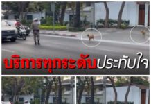 #ต้องยิ้ม!เมื่อเห็น #ภาพ/คลิป #”ตำรวจ”โบกหยุดรถ ให้ #”2 น้องหมา” ข้ามถนน เพื่อไปมาหาสู่กัน!!!!
